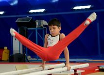 Bakıda kişi idman gimnastikası üzrə çoxnövçülükdə yarışlar başlayıb. Azərbaycan, 5 dekabr 2015